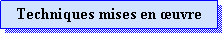 Zone de Texte: Techniques mises en uvre