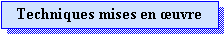 Zone de Texte: Techniques mises en uvre