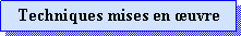 Zone de Texte: Techniques mises en uvre