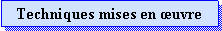 Zone de Texte: Techniques mises en uvre