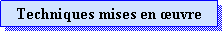 Zone de Texte: Techniques mises en uvre