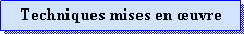 Zone de Texte: Techniques mises en uvre