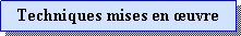 Zone de Texte: Techniques mises en uvre