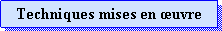 Zone de Texte: Techniques mises en uvre