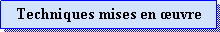 Zone de Texte: Techniques mises en uvre