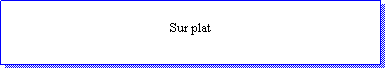 Zone de Texte: Sur plat 