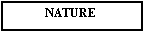 Zone de Texte: NATURE
