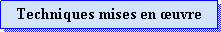 Zone de Texte: Techniques mises en uvre