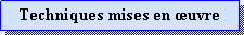 Zone de Texte: Techniques mises en uvre