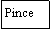 Zone de Texte: Pince