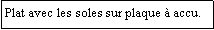 Zone de Texte: Plat avec les soles sur plaque  accu.