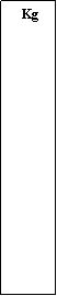 Zone de Texte:  Kg