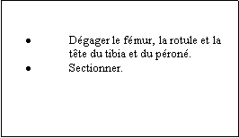 Zone de Texte: Dgager le fmur, la rotule et la tte du tibia et du pron.Sectionner.