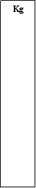 Zone de Texte:  Kg