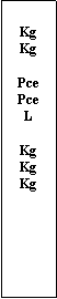 Zone de Texte:  KgKgPcePceLKgKgKg