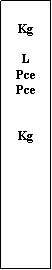 Zone de Texte:  KgLPcePceKg