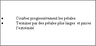 Zone de Texte: Courber progressivement les ptales.Terminer par des ptales plus larges  et pincer lextrmit.