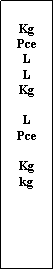 Zone de Texte: Kg PceLLKgLPceKgkg