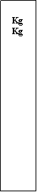 Zone de Texte: KgKg
