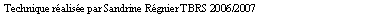 Zone de Texte: Technique ralise par Sandrine Rgnier TBRS 2006/2007