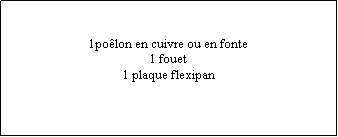 Zone de Texte: 1polon en cuivre ou en fonte1 fouet1 plaque flexipan