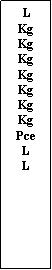 Zone de Texte:  LKgKgKgKgKgKgKgPceLL